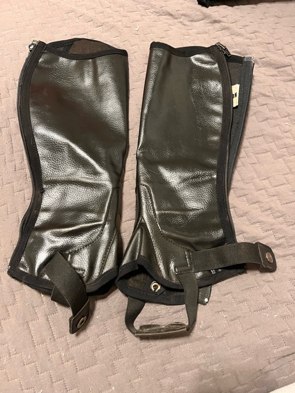 Saxon Equileather Half Chaps